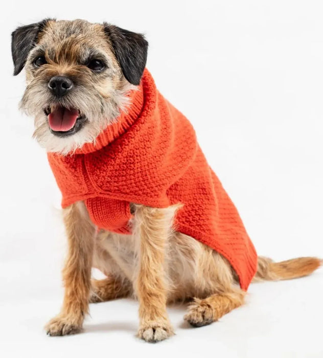 The Jamie Dog Jumper: Burnt Orange | Lycra Strengthened | Leg Slits | Medium to Long | 100% Acrylic