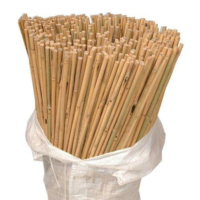 Premium 5FT Bamboo Canes - Pack of 10