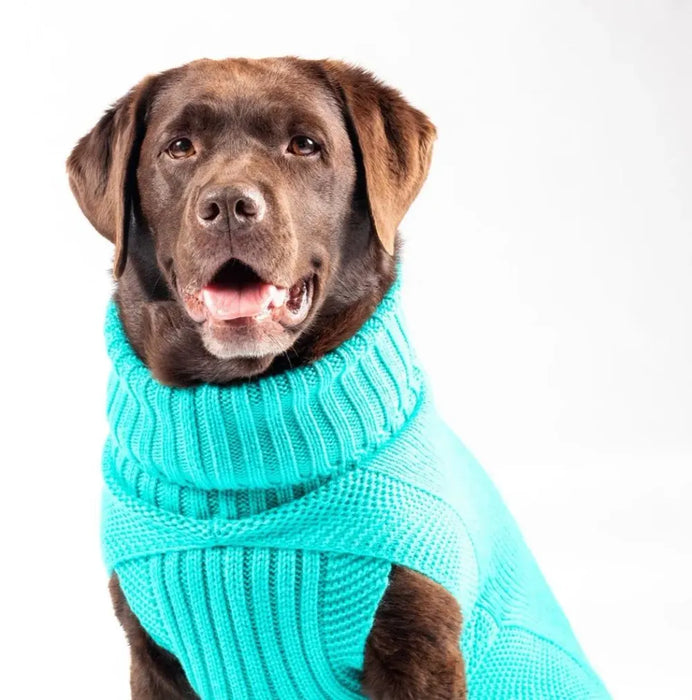 The Jazz Dog Jumper in Peacock Blue