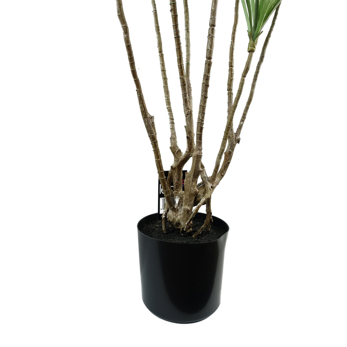 Realistic 125cm Dragon Tree Dracaena Plant - High Quality Artificial - Perfect for Any Space - Professional Seller