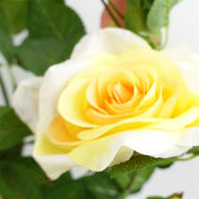 https://images.avasam.com/?url=https://avasamnew.s3.amazonaws.com/product/GB010188/S0671599759/1.png&w=500