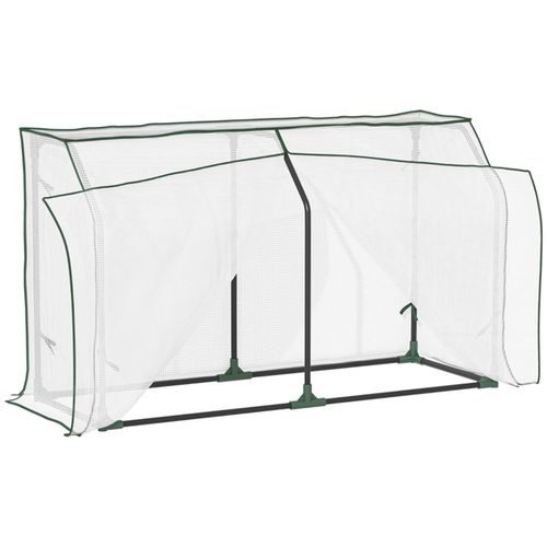 Mini Greenhouse