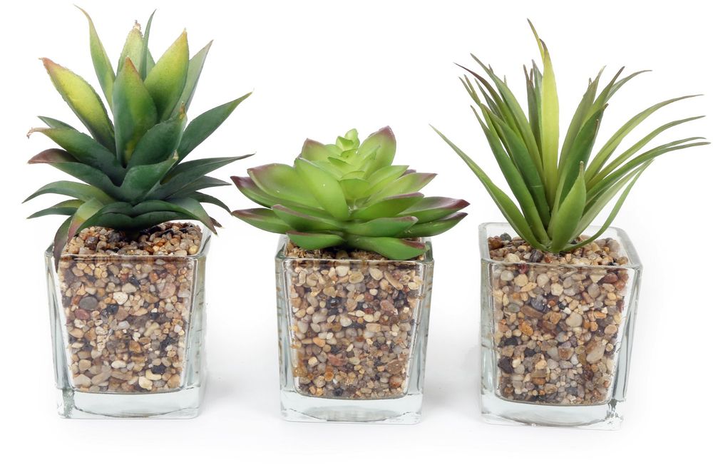 Realistic Faux Succulents in Glass Pots