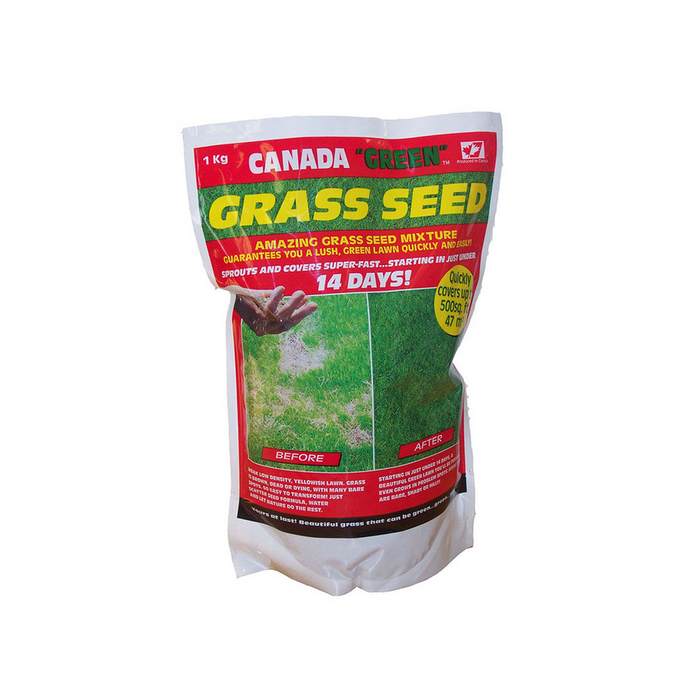 Canada Green Grass Seed 1 Kilo