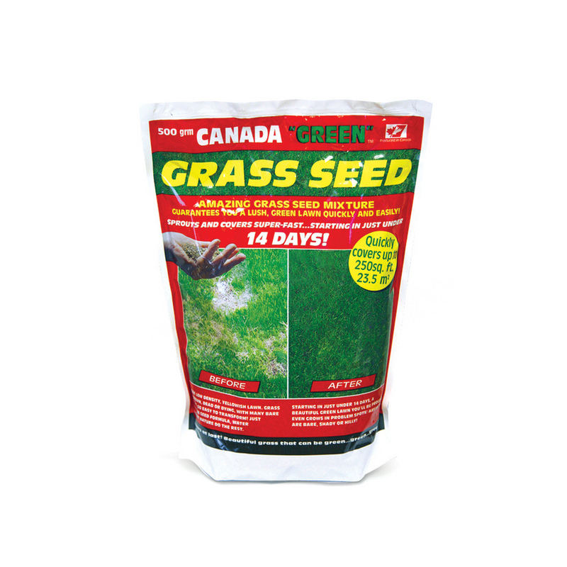 Premium Canada Green Grass Seed - 500g Bag