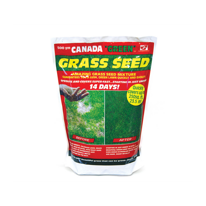 Premium Canada Green Grass Seed - 500g Bag