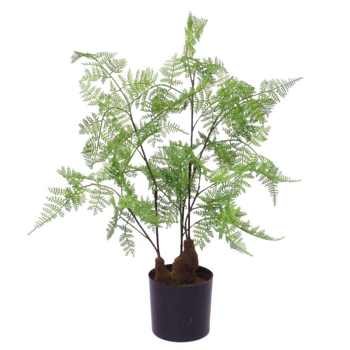 60cm Artificial Natural Moss Base Fern Foliage Plant