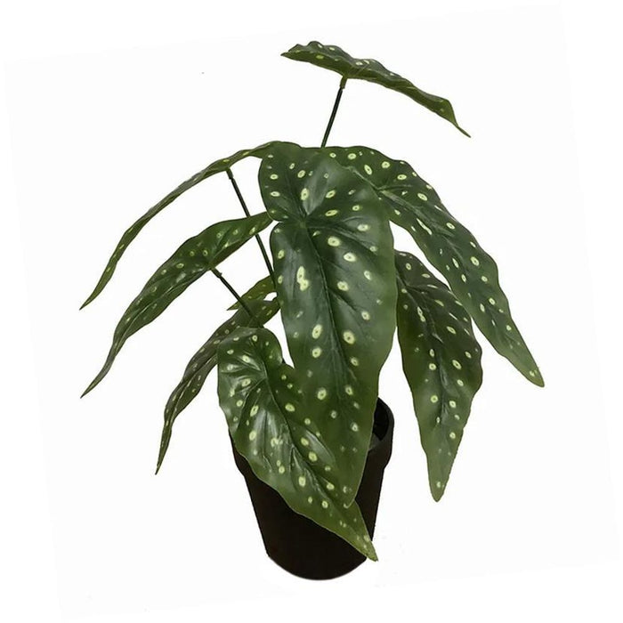 Artificial Plant - Begonia 30cm