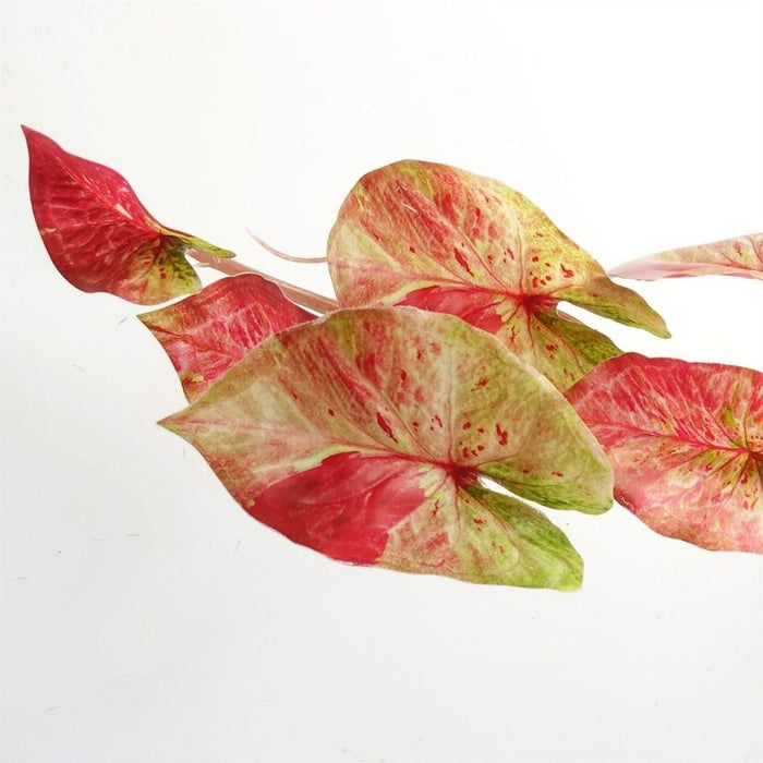 Realistic Trailing Hanging Plant - Pink Splash Caladium - 35cm Artificial Plant