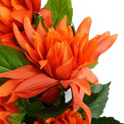https://images.avasam.com/?url=https://avasamnew.s3.amazonaws.com/product/GB010188/S0671599762/2.png&w=500