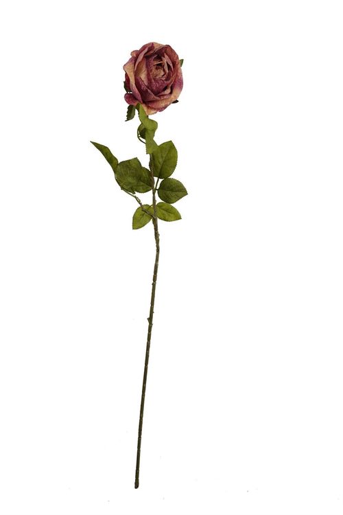 https://images.avasam.com/?url=https://avasamnew.s3.amazonaws.com/product/GB010188/S0671589498/1.png&w=500