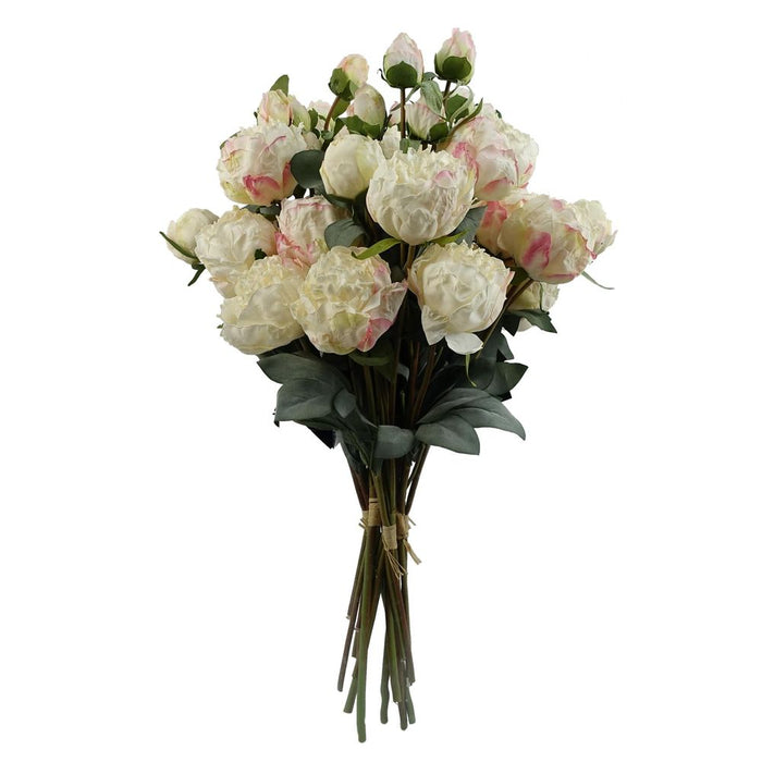 Premium Cream Peony Artificial Flower Stems - 6 Bundles, 24 Flowers, 18 Buds