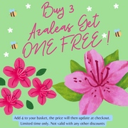 https://images.avasam.com/?url=https://avasamnew.s3.amazonaws.com/product/GB010245/S0671555159/2.png&w=500