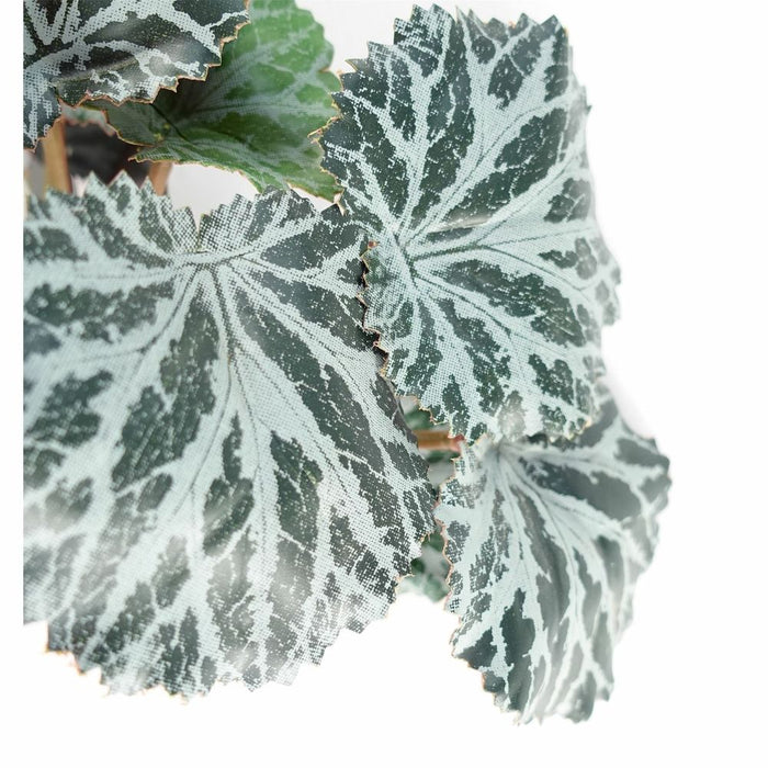 Realistic Trailing Begonia - 50cm Artificial Plant - Genuine Leaf - High Quality