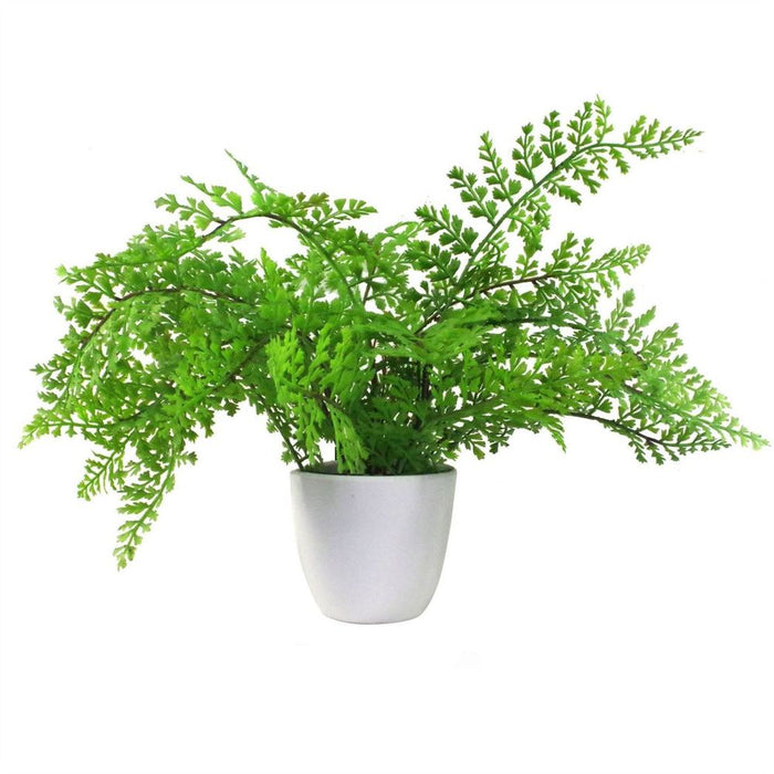 Pack of 3 x 30cm Artificial Ferns - Southern Wood - Lady and Royal - Potted