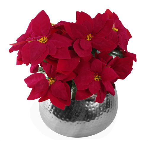 https://images.avasam.com/?url=https://avasamnew.s3.amazonaws.com/live/GB010188/S0671349142_0.jpg&w=500