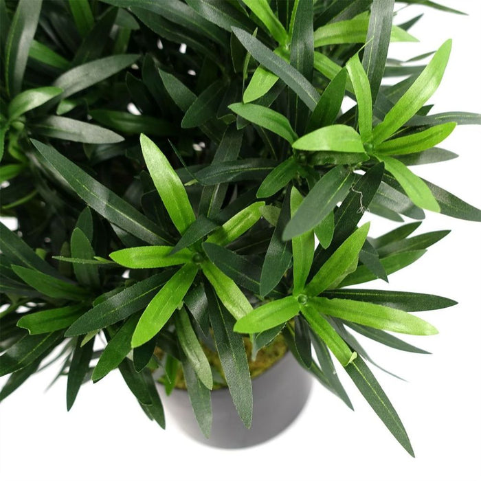 Premium 40cm Podocarpus Bush: Artificial, Silk Leaves, Wood Trunk