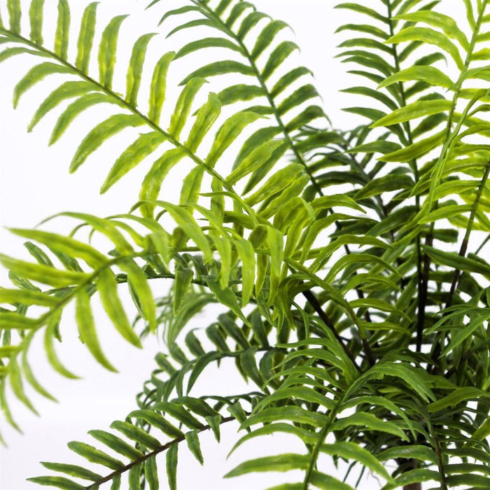 High Quality 50cm Fronded Fern Plant - Artificial, Realistic, Low Maintenance