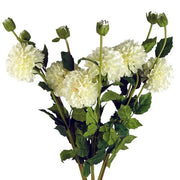 https://images.avasam.com/?url=https://avasamnew.s3.amazonaws.com/product/GB010188/S0671589505/3.png&w=500