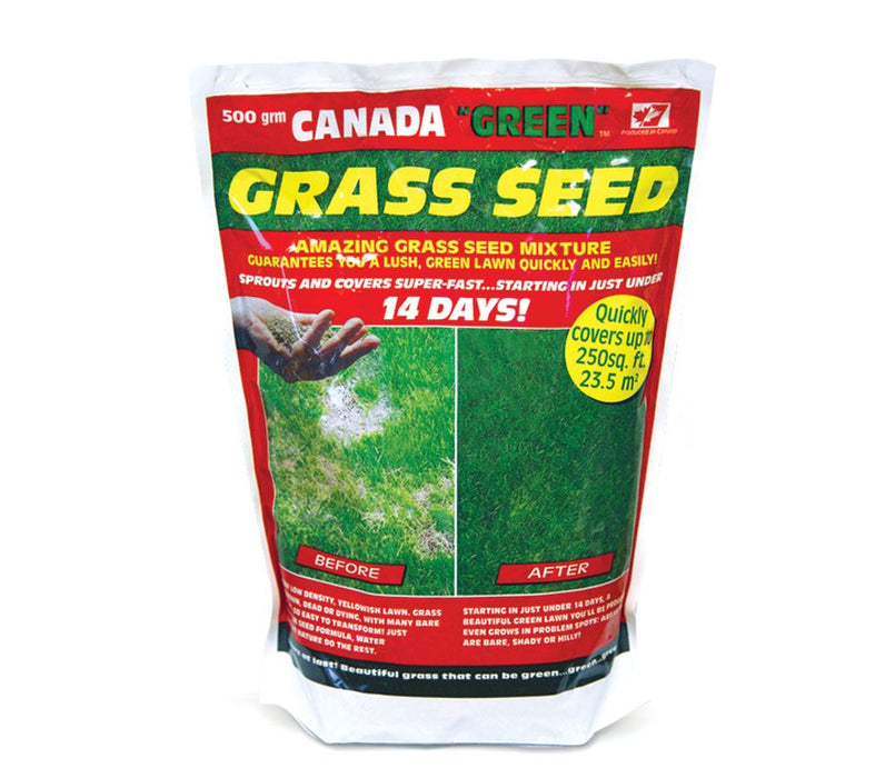 Premium Canada Green Grass Seed - 500g Bag