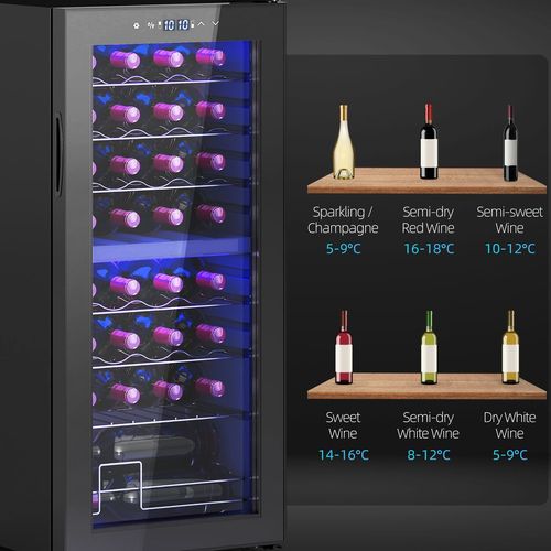 HOMCOM 86L Dual Zone Wine Cooler with Adjustable Temperature Control, Black