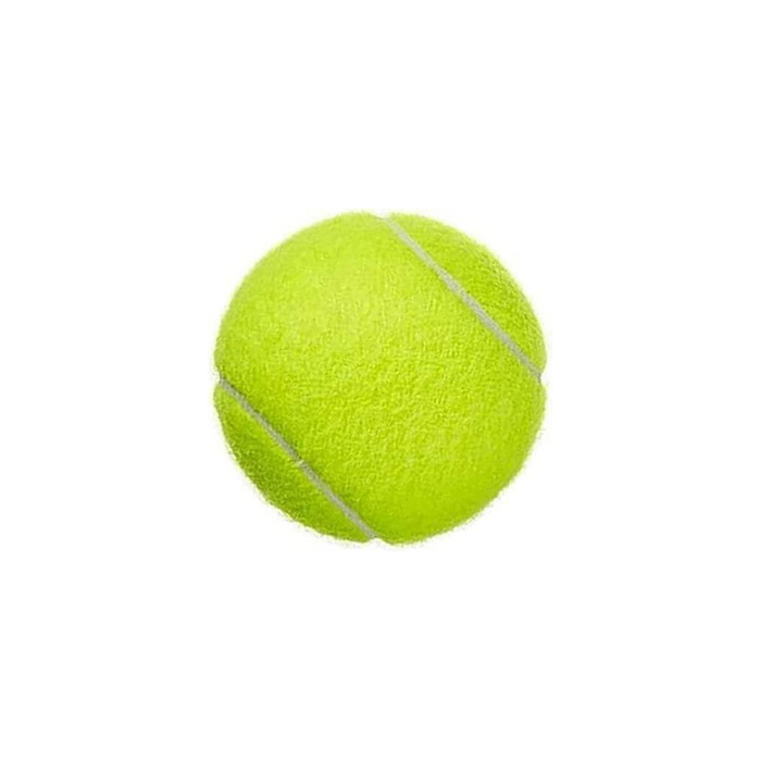 Sterun Tennis Balls with Storage Bag, Tennis Balls for Dogs, Perfect for Tennis, Toys Sports, Cricket, Thick Walled Tennis Balls