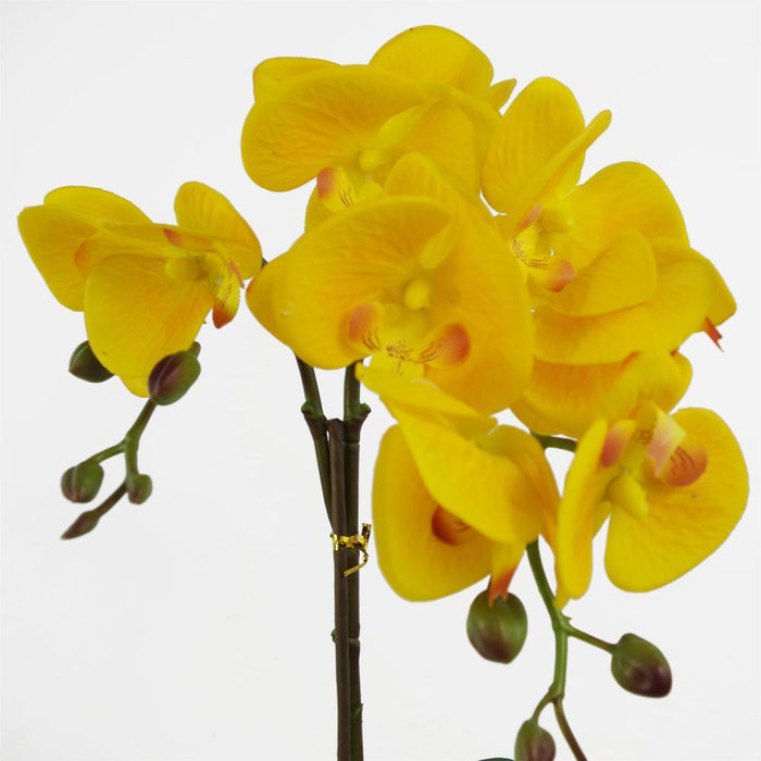 Premium 48cm Golden Orchid - Real Touch Yellow Flowers with Gold Pot