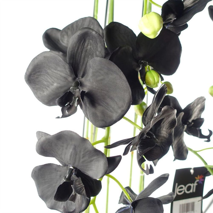 110cm Large Black Orchid Plant Artifcial 41 REAL TOUCH flowers