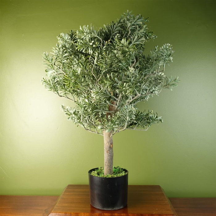 Premium Artemisa Evergreen Shrub - Lifelike & Durable - 70cm Tall