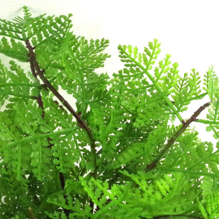 Realistic 30cm Artificial Potted Lady Fern - High Quality Foliage in Plastic Weighted Pot - Leaf Design UK