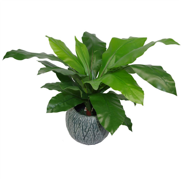 Premium 60cm Artificial Bird's Nest Fern - Large & Lifelike