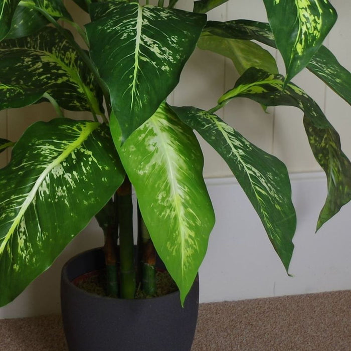 100cm Large Fox's Aglaonema (Spotted Evergreen) Tree Artificial Plant