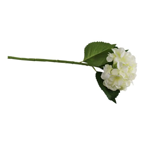 https://images.avasam.com/?url=https://avasamnew.s3.amazonaws.com/live/GB010082/S0671124237_0.jpg&w=500
