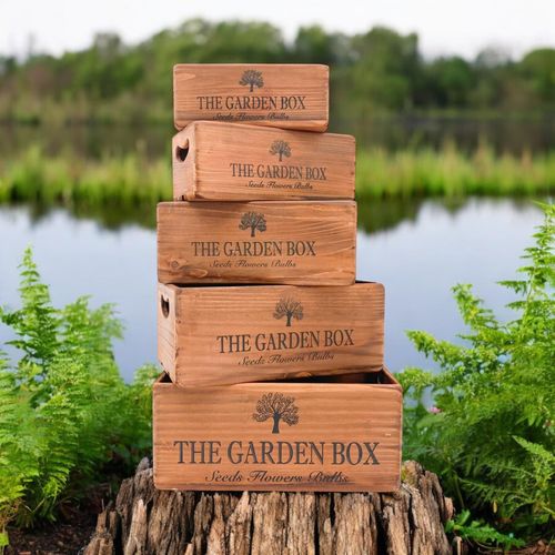 35/32/28/25/22CM SET 5 WOODEN BOXES