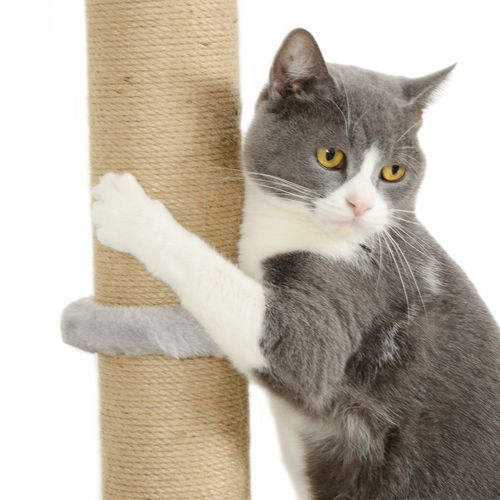 https://images.avasam.com/?url=https://avasamnew.s3.amazonaws.com/live//KKVczECX1WIuyzLVEtdnMwaosomTLloi1NEu9siosbmFlUQTFLw7zeTpvDJrI1FQuSV_EM.jpg&w=500