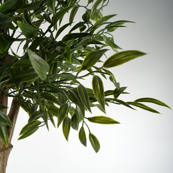 Premium Quality 140cm UV Resistant Ruscus Tree with 2716 Lush Leaves - Perfect for Indoor & Outdoor Use!