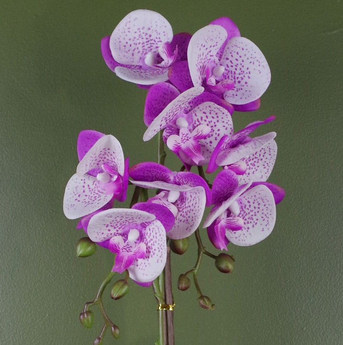 50cm Phalaenopsis Orchid Artificial - Purple / White - Gold Pot