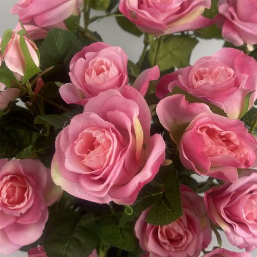 60cm  Rose Bush Premium Pink Silk Flowers and Leaves