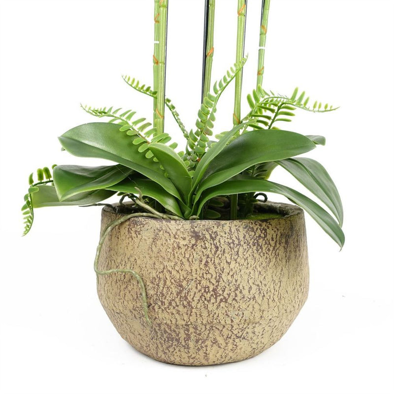 Botanik - 80cm Large Orchid Lime Yellow Artificial - 41 Real Touch Flowers - High-Quality Craftsmanship