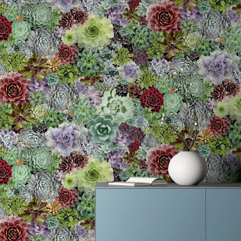 Premium Quality Succulent Living Wall Multi sw12