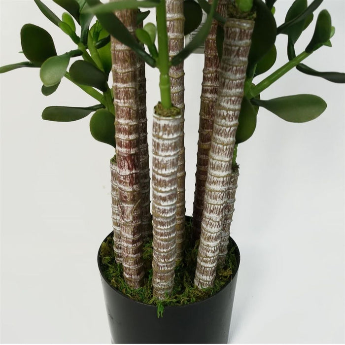 Premium Replica 75cm Green Jade Plant - Realistic and Stylish