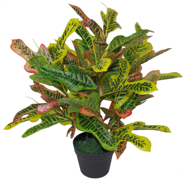 Premium 65cm Multicoloured Artificial Codiaeum House Plant