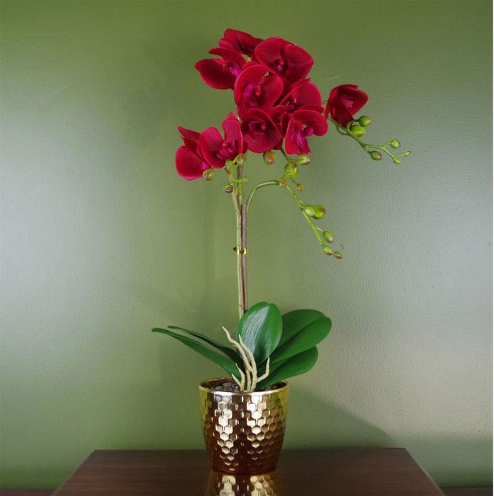 Realistic 50cm Dark Red Orchid - Gold Pot - Artificial Plant