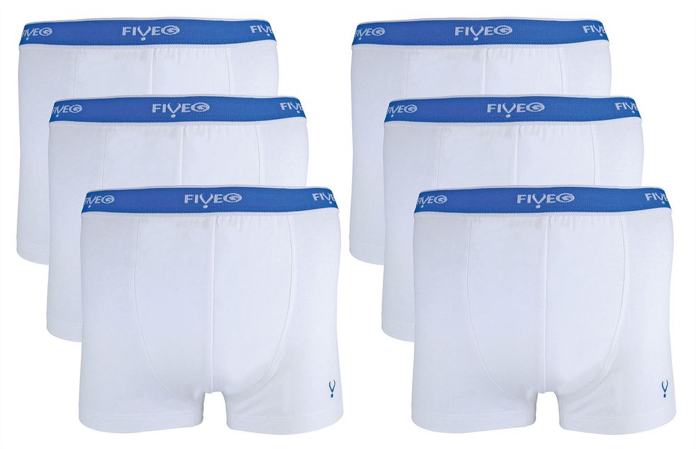 FiveG - 6 Pack Mens Trunks