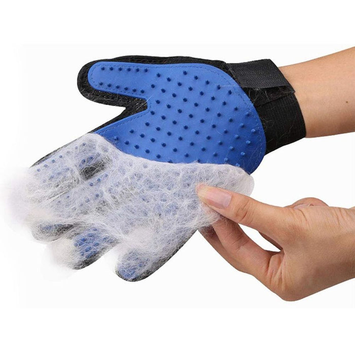 Cat And Dog Grooming Gloves 1 Pair - Blue