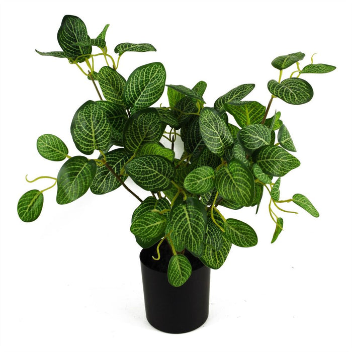 40cm Artificial Variegated Pothos Plant