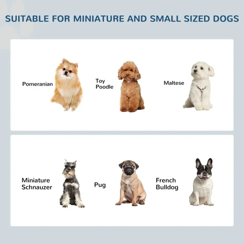 Premium Elevated Pet Feeder - Stainless Steel Bowls Stand for Small Dogs - Healthier Eating - Non-Slip Base - Easy to Clean - Durable Design