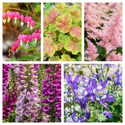 https://images.avasam.com/?url=https://avasamnew.s3.amazonaws.com/live//Perennials-Shade.jpg&w=500