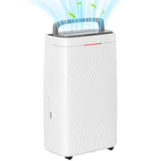 https://images.avasam.com/?url=https://avasamnew.s3.amazonaws.com/live//Etzh0UW4m4q8ehsWxndJoAaosomXHOBH3dm8W0bf72su0-JvDUIHu1NISzpzT-j5Jq1D4M.jpg&w=500