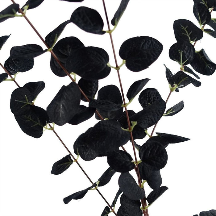 Premium Quality 80cm Black Eucalyptus Foliage Stems - Pack of 6